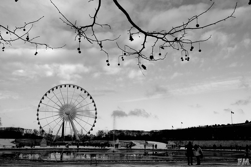 Jardin des Tuileries