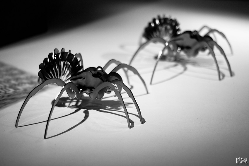 AraignÃ©es mÃ©caniques
