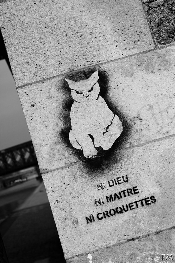 Le Chat