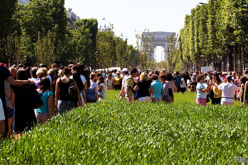 Promenade dans les Champs