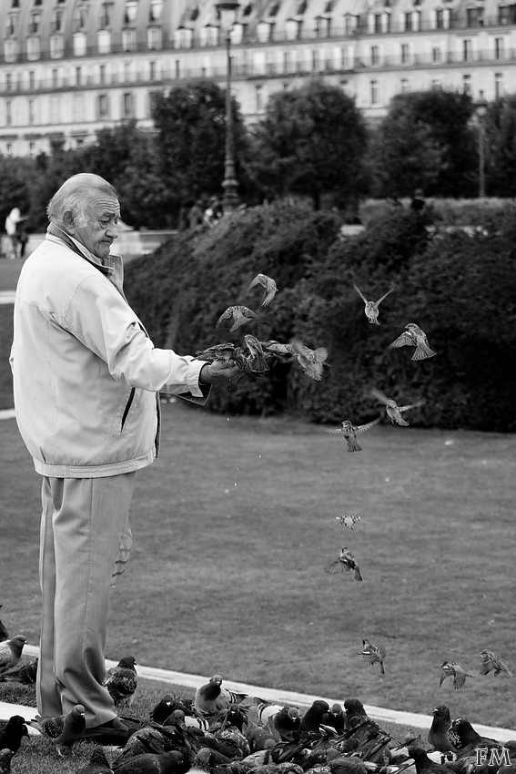 L'ami des oiseaux