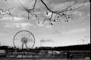 Jardin des Tuileries