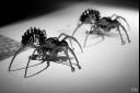 AraignÃ©es mÃ©caniques