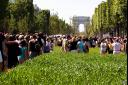 Promenade dans les Champs