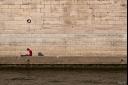 Bord de Seine (3)