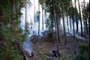 Incendie contrôlé (Sequoia National Park)