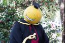 Koro-sensei - æ®ºã›ã‚“ã›ã„