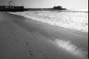 Santa Monica Beach