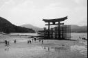 Le grand Torii de Miyajima